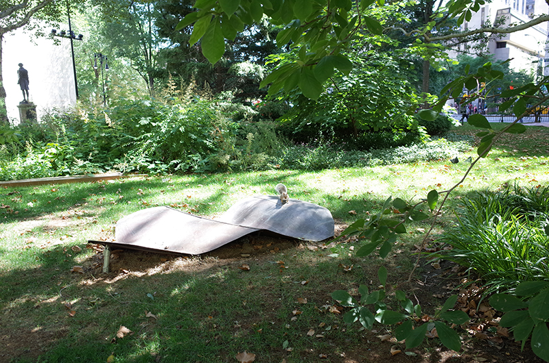 アメリカの旅2014：公園でリス