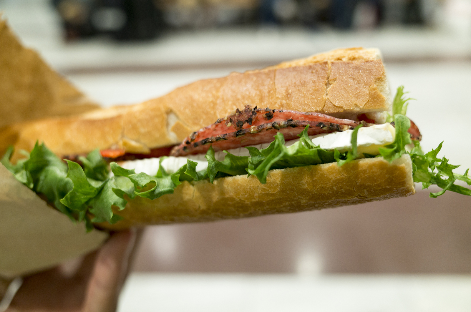 北欧周遊の旅2015・5日目