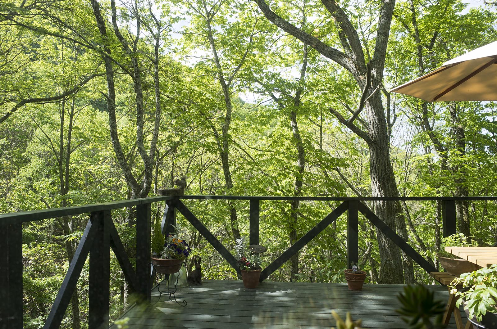 クラフトフェアまつもと2016と蓼科