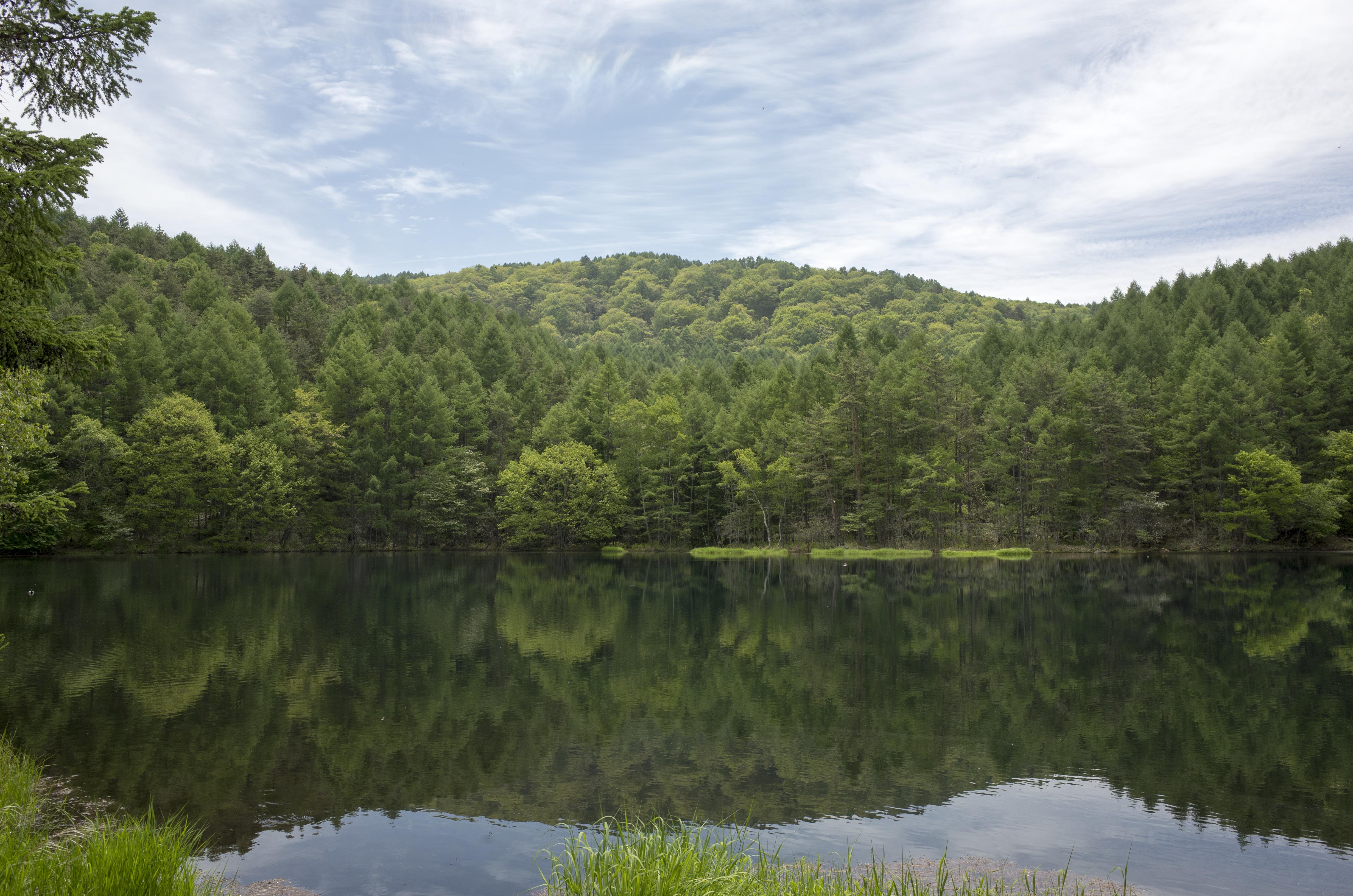 クラフトフェアまつもと2016と蓼科