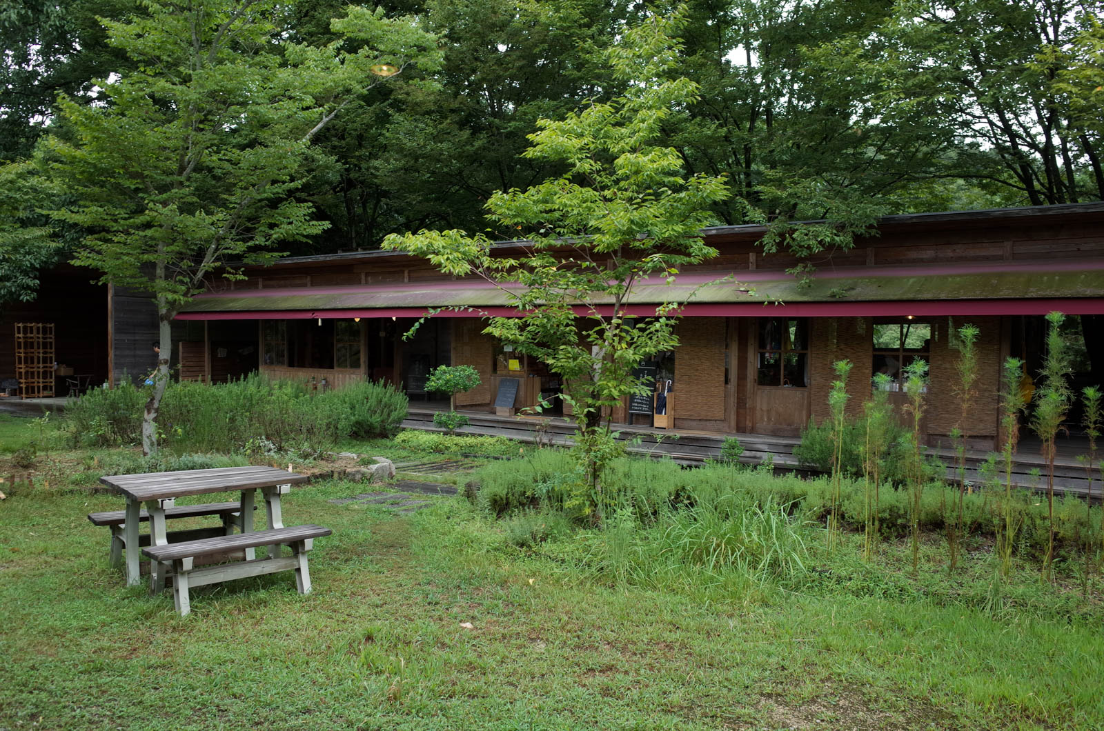 香川栗熊・グリーンに癒されるキトクラスカフェ（KITOKURAS cafe）