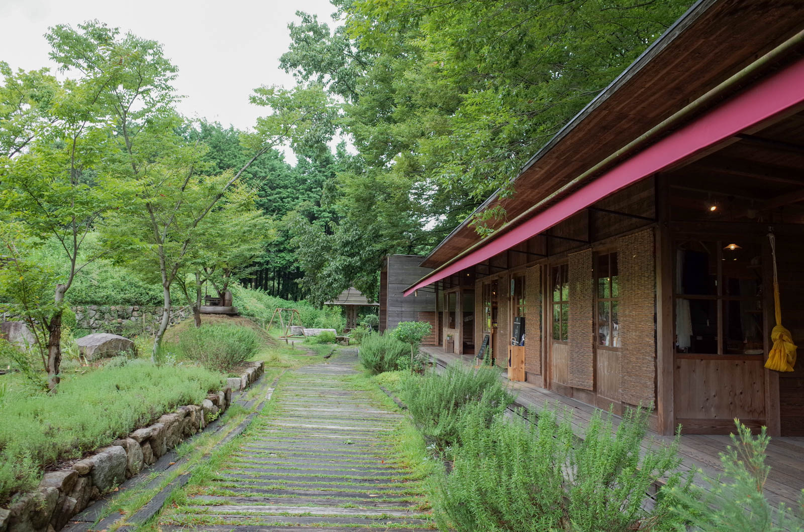 香川栗熊・グリーンに癒されるキトクラスカフェ（KITOKURAS cafe）