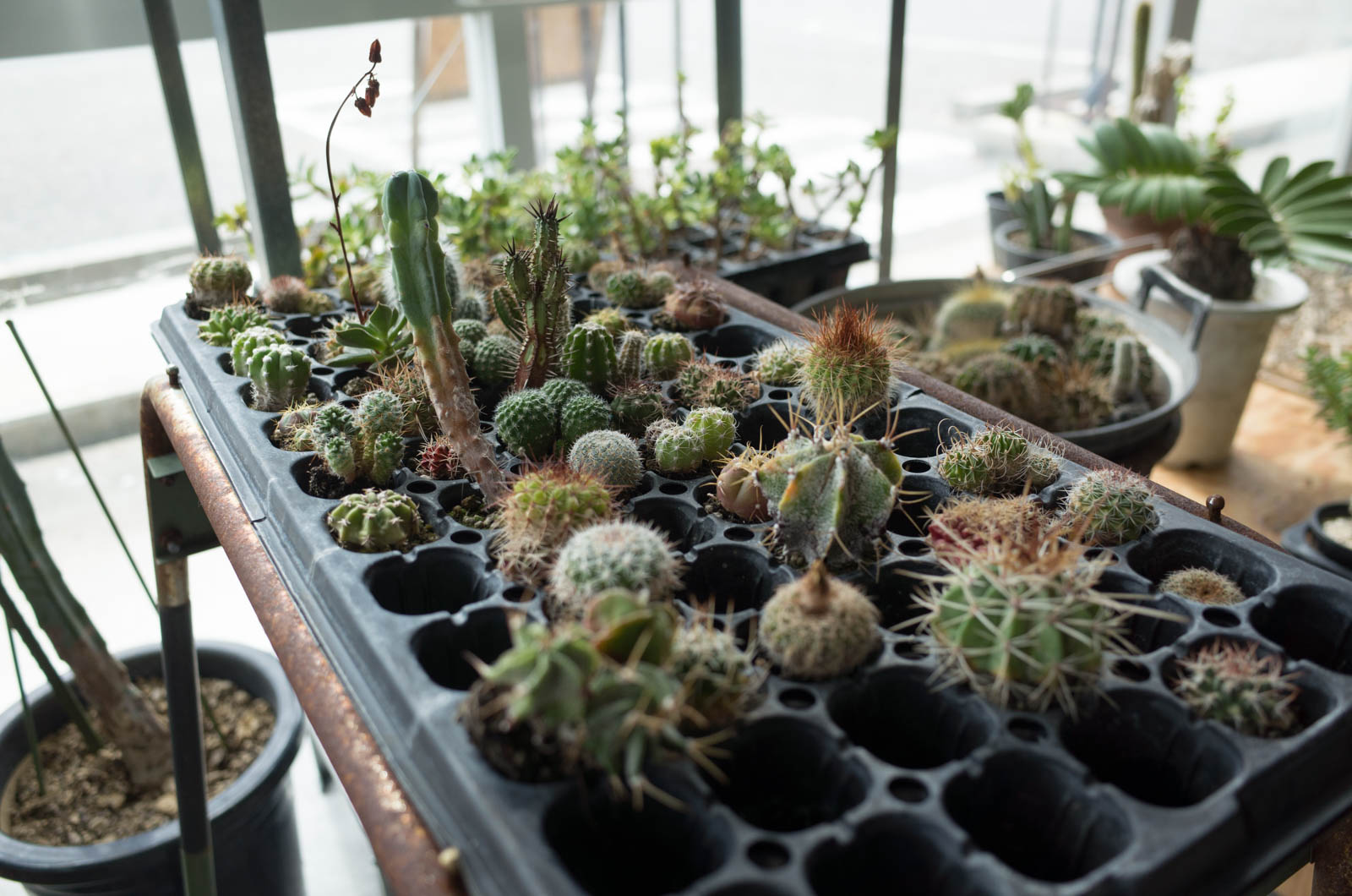 琵琶湖湖畔・彦根のラボ&カフェ・VOID A PART