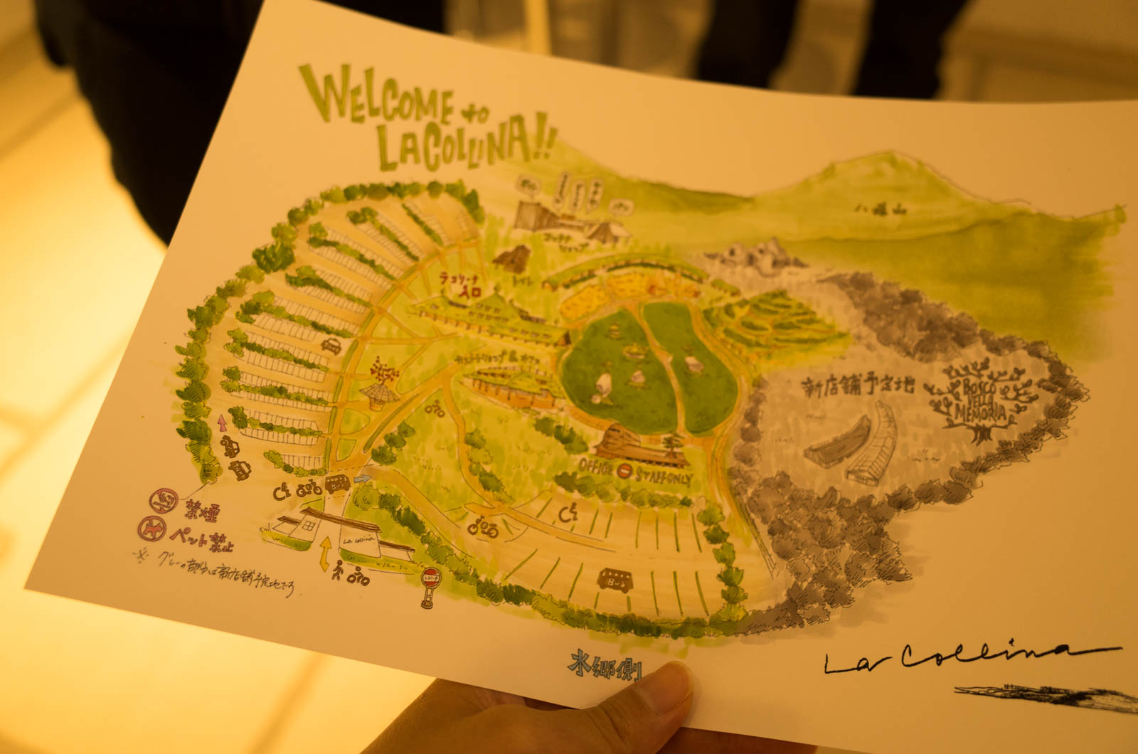 藤森照信ミュージアム見学「ラ コリーナ近江八幡」のツアーに参加してきた！