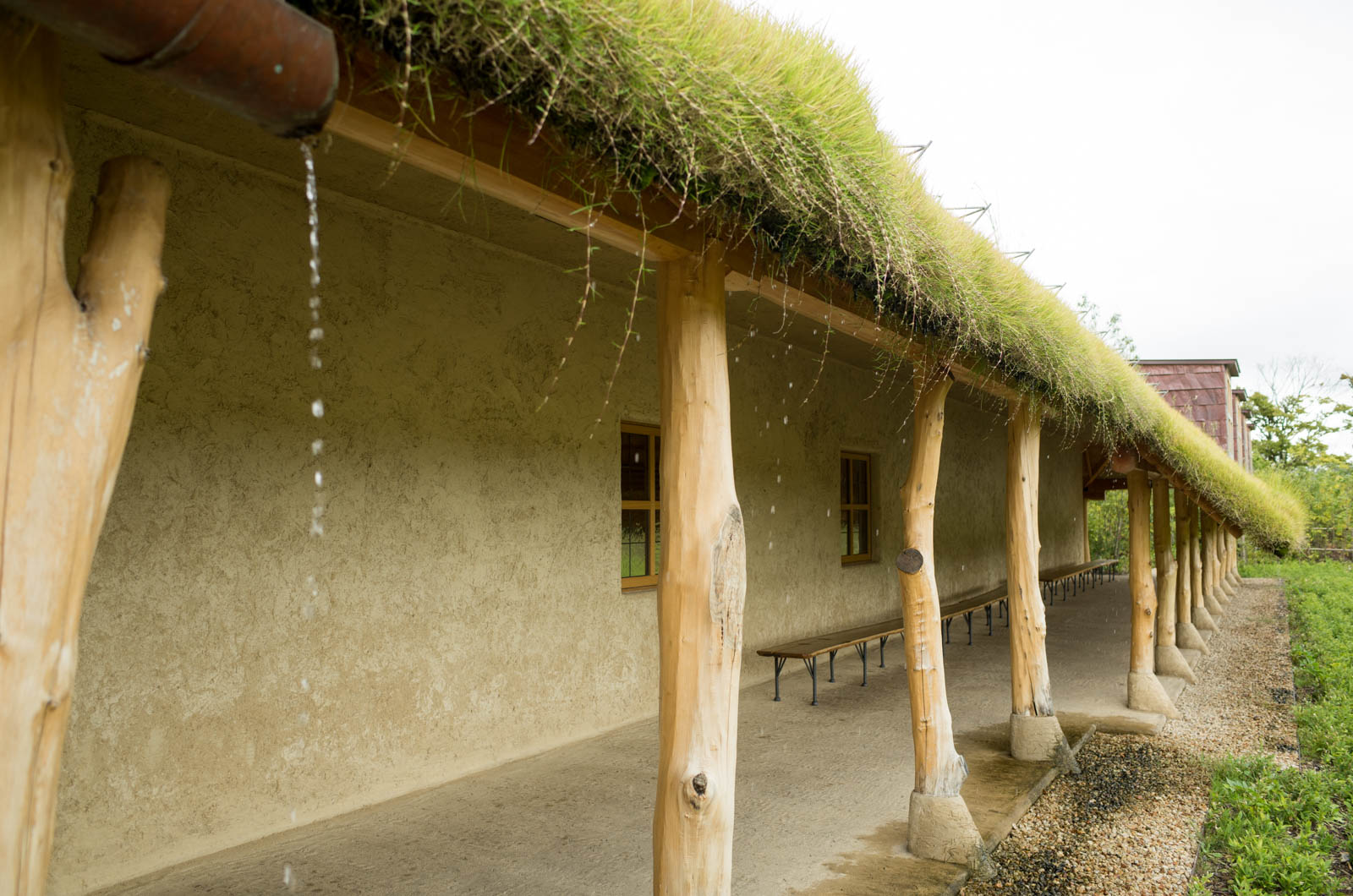 藤森照信ミュージアム見学「ラ コリーナ近江八幡」のツアーに参加してきた！