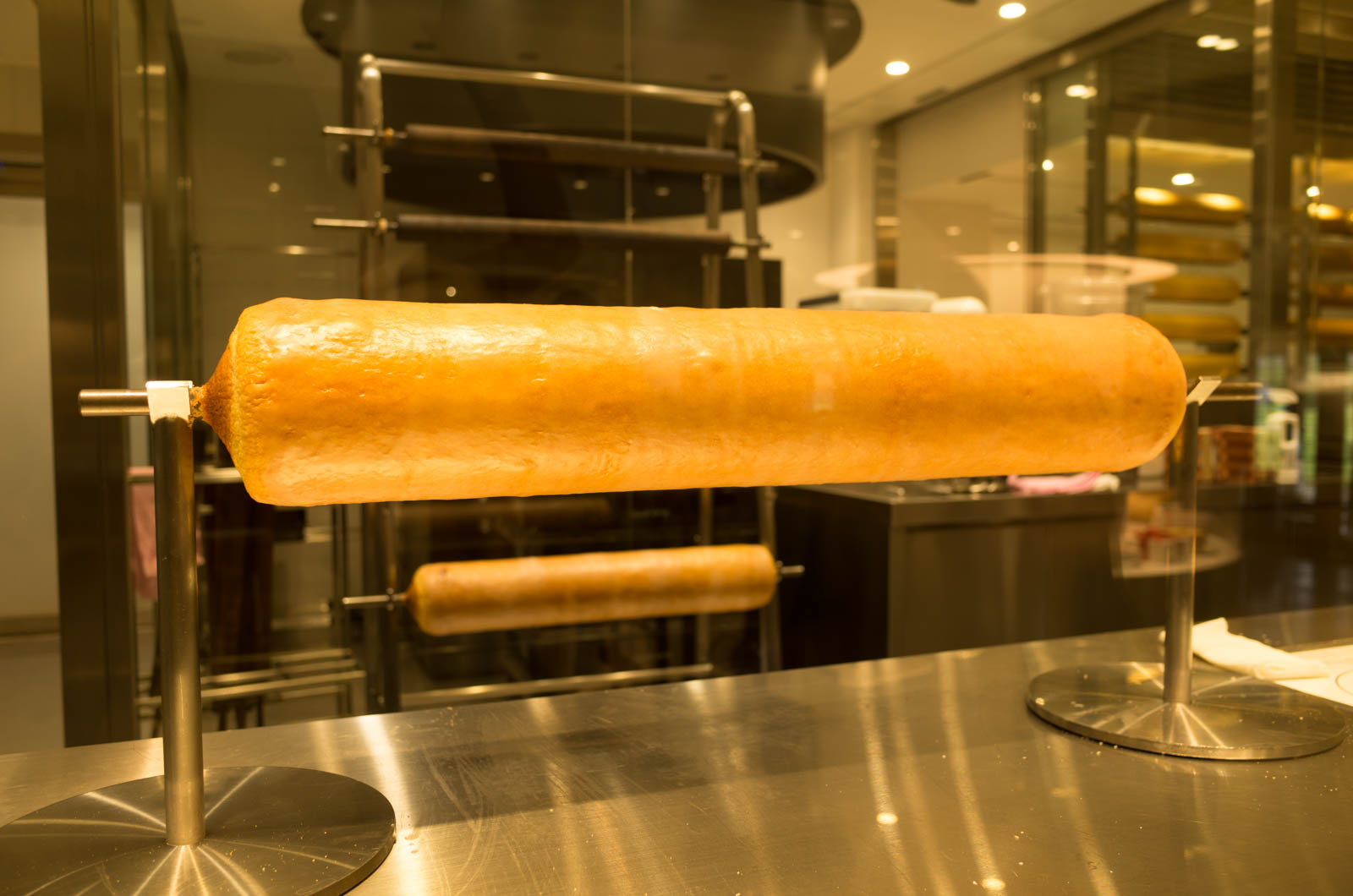 藤森照信ミュージアム見学「ラ コリーナ近江八幡」のツアーに参加してきた！藤森照信ミュージアム見学「ラ コリーナ近江八幡」のツアーに参加してきた！