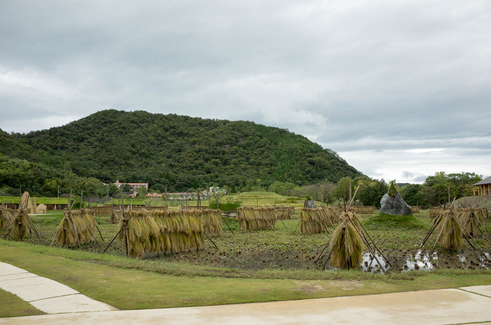 藤森照信ミュージアム見学「ラ コリーナ近江八幡」のツアーに参加してきた！藤森照信ミュージアム見学「ラ コリーナ近江八幡」のツアーに参加してきた！