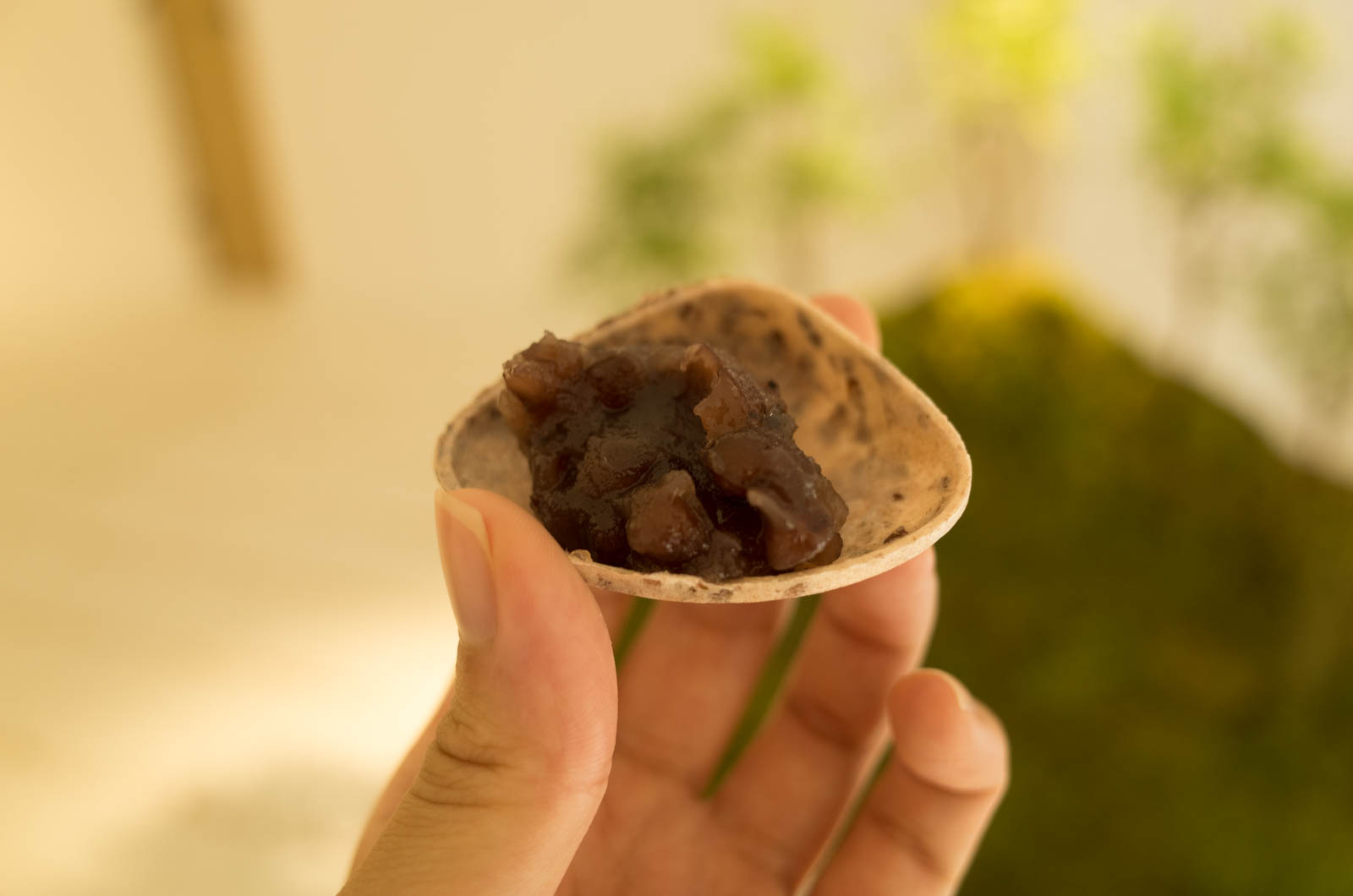 藤森照信ミュージアム見学「ラ コリーナ近江八幡」のツアーに参加してきた！藤森照信ミュージアム見学「ラ コリーナ近江八幡」のツアーに参加してきた！